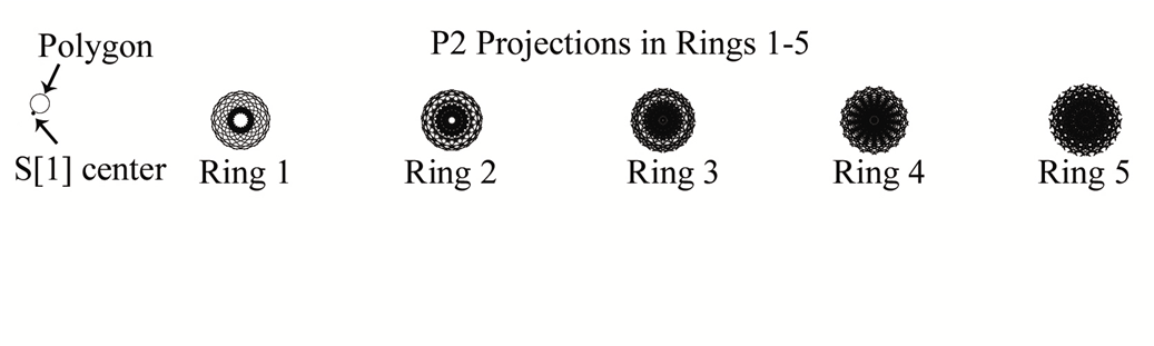 N17Rings_2.gif